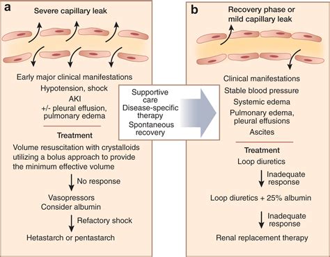 kapillarlecksyndrom symptome|Capillary leak syndrome: etiologies, pathophysiology,。